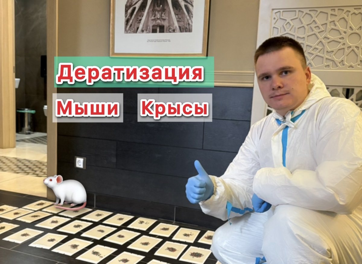 Галерея